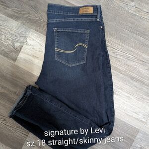 Levi's Signature Dark Indigo Jeans